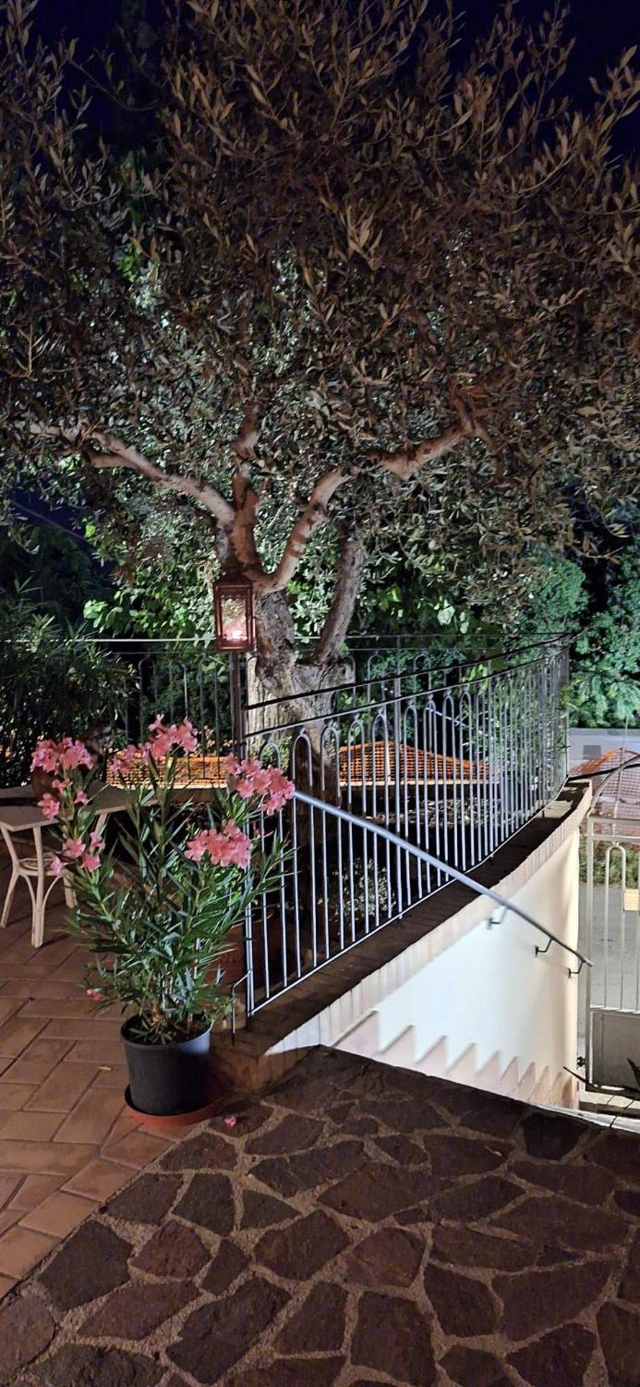 B&B Palazzo Mestichelli Boutique Palace Monteprandone Exterior foto